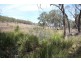 Lot 55 Tarban Road, Tenterfield NSW 2372