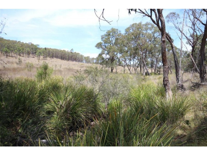 Lot 55 Tarban Road, Tenterfield NSW 2372