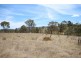 Lot 55 Tarban Road, Tenterfield NSW 2372
