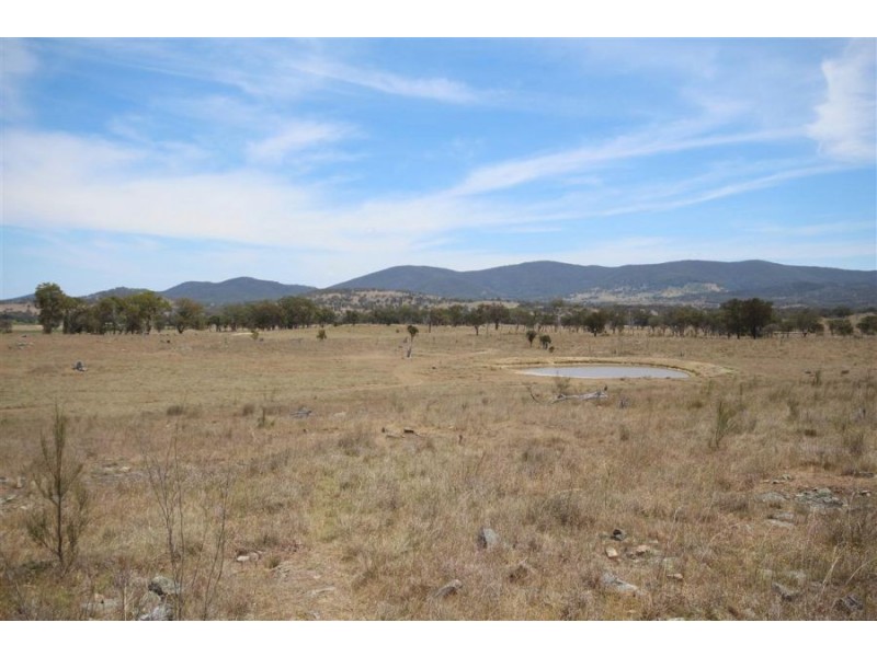 Lot 55 Tarban Road, Tenterfield NSW 2372
