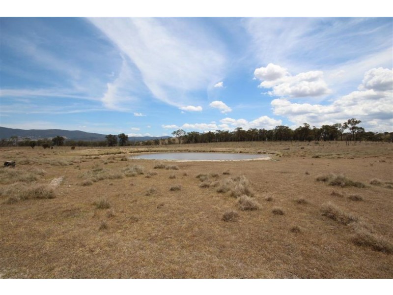 Lot 55 Tarban Road, Tenterfield NSW 2372