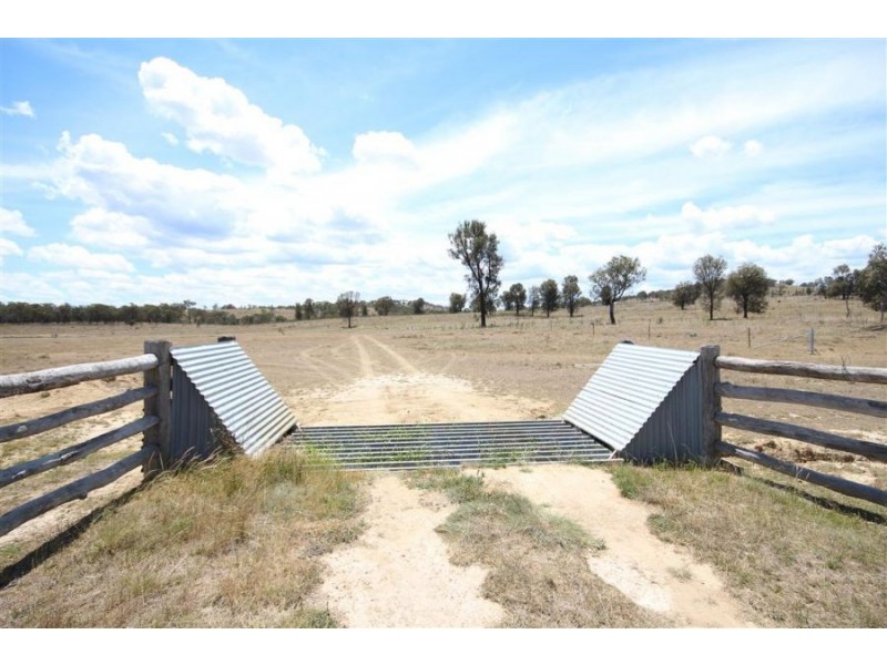 Lot 55 Tarban Road, Tenterfield NSW 2372