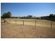 Lot 20 Clive Street, Tenterfield NSW 2372