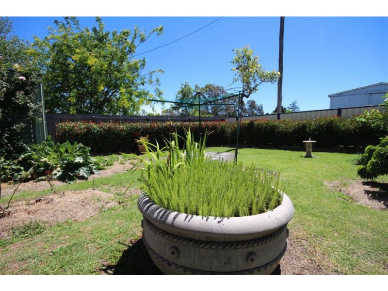 59 Manners Street, Tenterfield NSW 2372