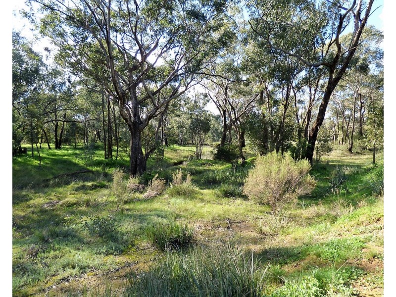 48 Dudauman St, Stockinbingal NSW 2725