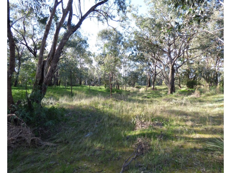 48 Dudauman St, Stockinbingal NSW 2725