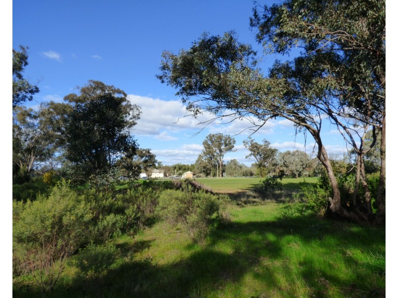 48 Dudauman St, Stockinbingal NSW 2725