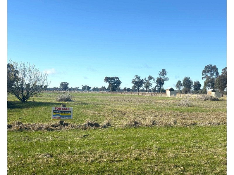 1660 Milvale-Stockinbingal Rd, Milvale NSW 2594