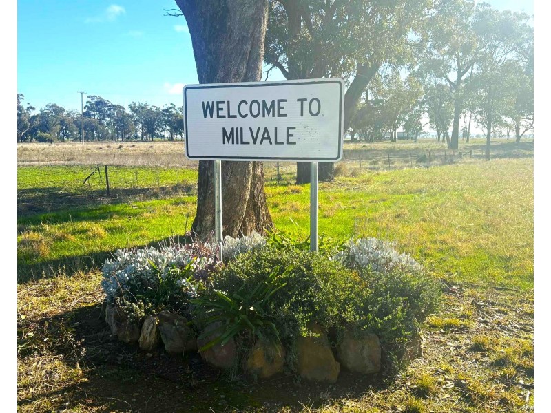 1660 Milvale-Stockinbingal Rd, Milvale NSW 2594