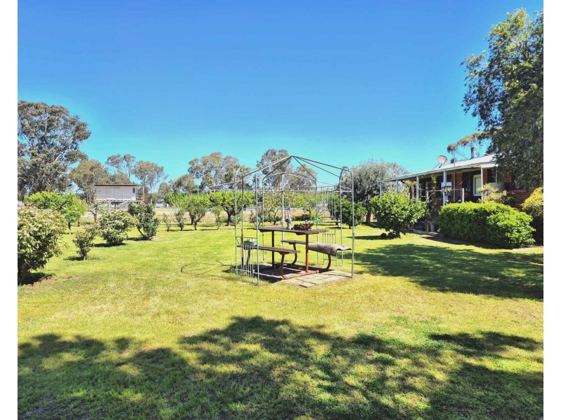 84 Hibernia St, Stockinbingal NSW 2725