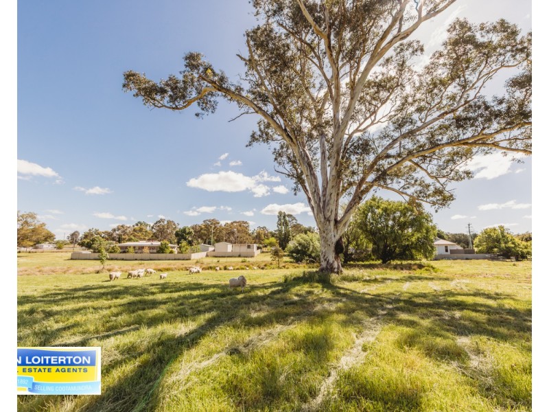 13 Queen St, Wallendbeen NSW 2588