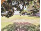 1196 Stockinbingal Rd, Cootamundra NSW 2590