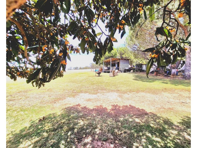 1196 Stockinbingal Rd, Cootamundra NSW 2590