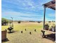 1196 Stockinbingal Rd, Cootamundra NSW 2590