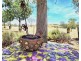 1196 Stockinbingal Rd, Cootamundra NSW 2590