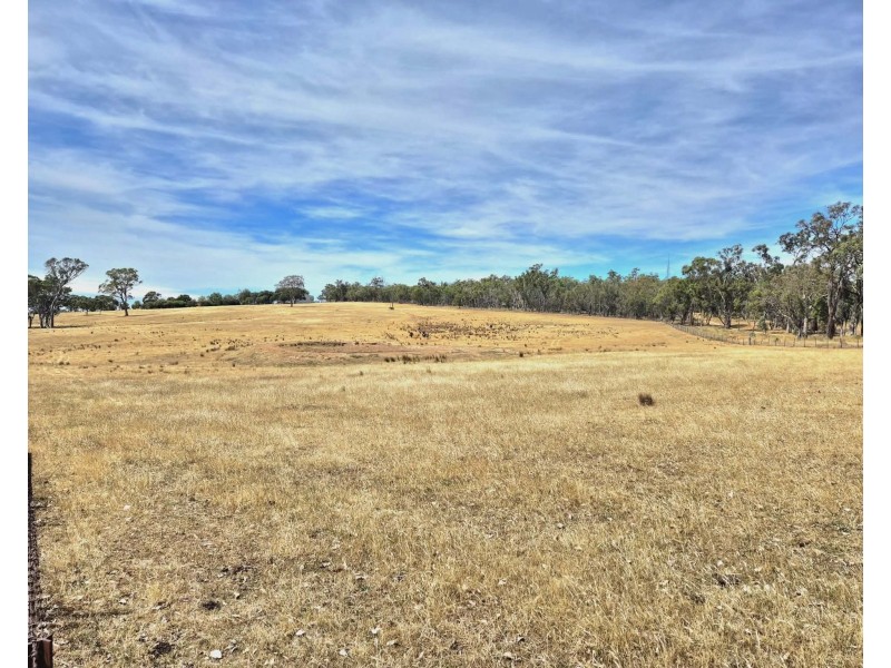 1196 Stockinbingal Rd, Cootamundra NSW 2590