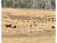1196 Stockinbingal Rd, Cootamundra NSW 2590