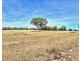 1196 Stockinbingal Rd, Cootamundra NSW 2590