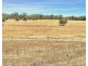 1196 Stockinbingal Rd, Cootamundra NSW 2590