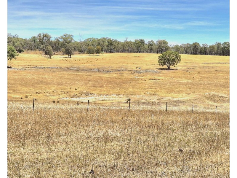 1196 Stockinbingal Rd, Cootamundra NSW 2590