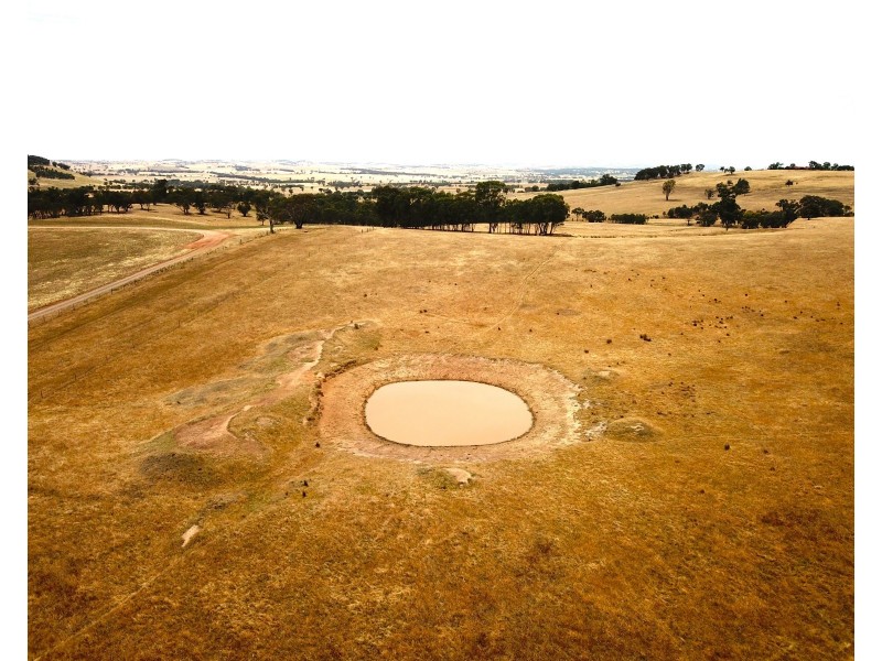 1196 Stockinbingal Rd, Cootamundra NSW 2590
