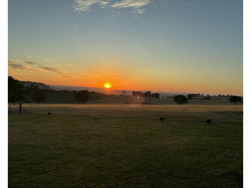 1196 Stockinbingal Rd, Cootamundra NSW 2590