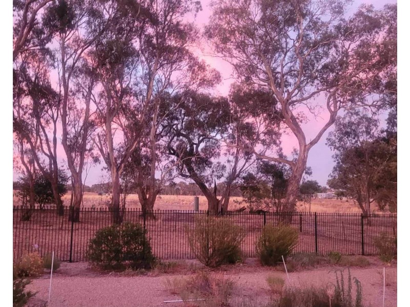 43 Harold Conkey Ave, Cootamundra NSW 2590