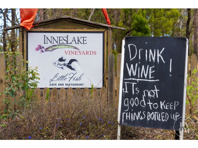 102 The Ruins Way, Port Macquarie NSW 2444