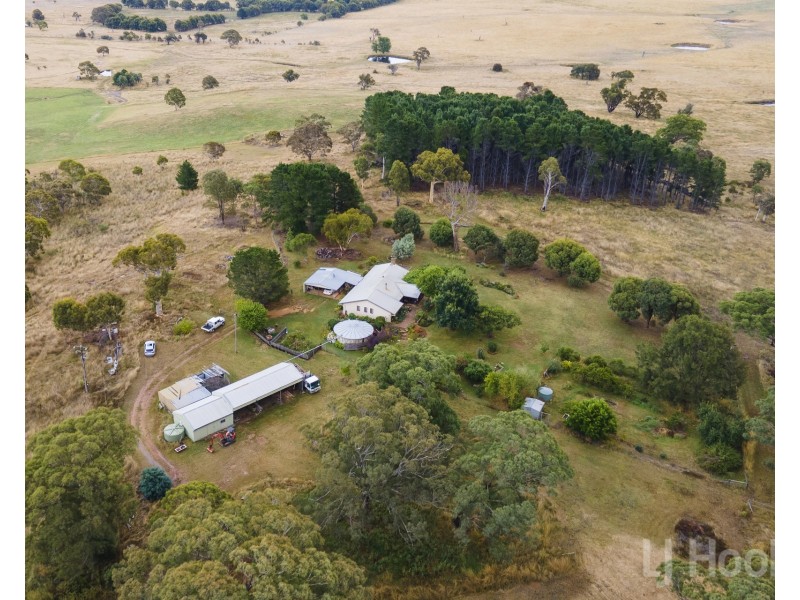 155 Sugarloaf Ridge Road, Primrose Valley NSW 2621