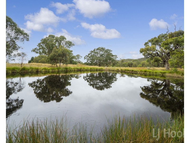 155 Sugarloaf Ridge Road, Primrose Valley NSW 2621