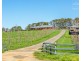 86 Neils Creek Road, Bungendore NSW 2621