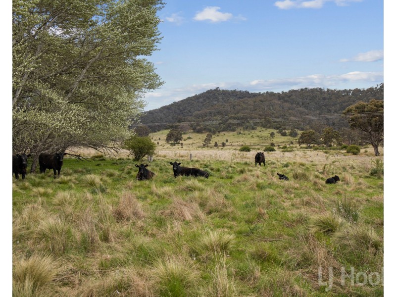 58 Black Flat Road, Burra NSW 2620