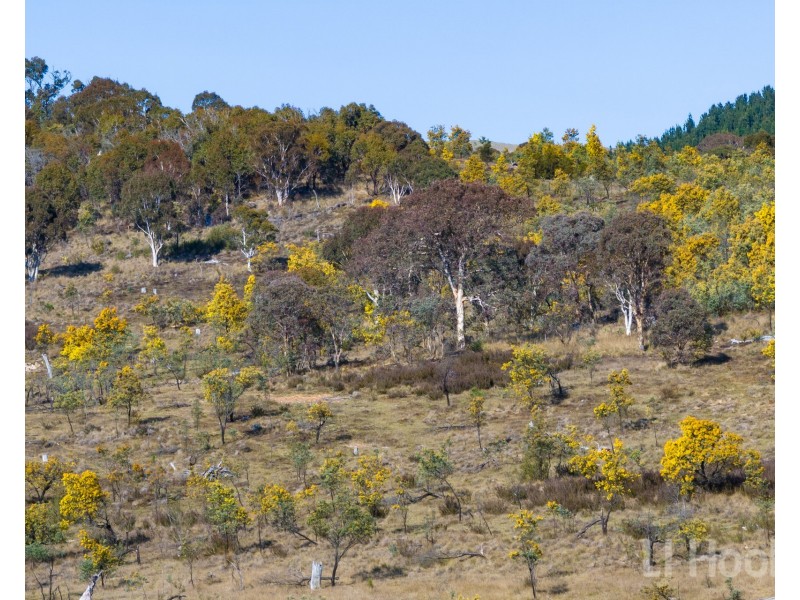3/854 Hoskinstown Road, Bungendore NSW 2621