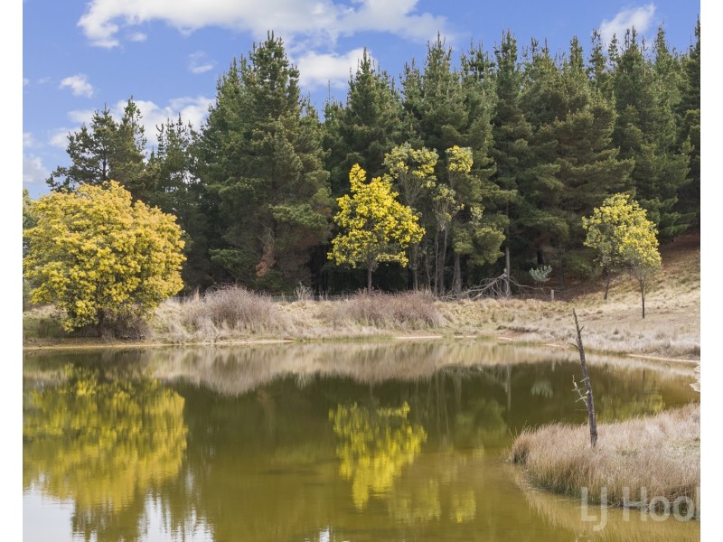 7/854 Hoskinstown Road, Bungendore NSW 2621