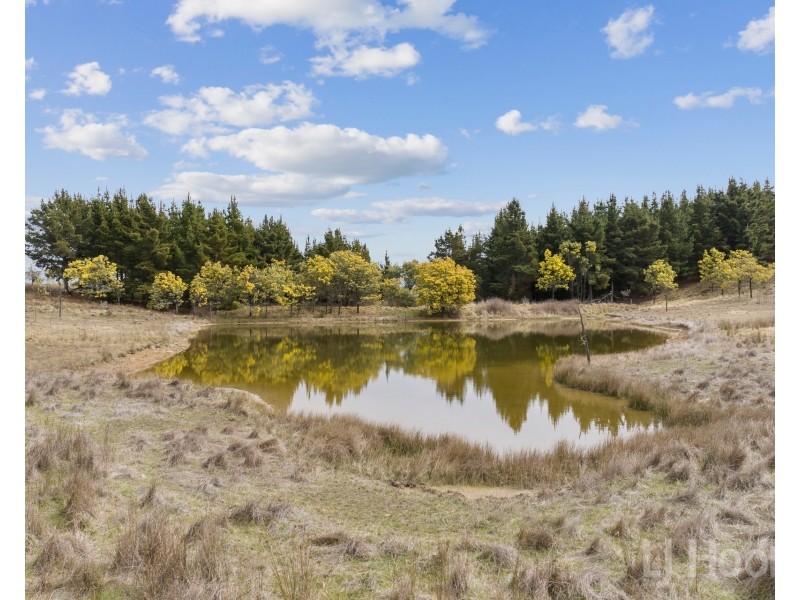 7/854 Hoskinstown Road, Bungendore NSW 2621