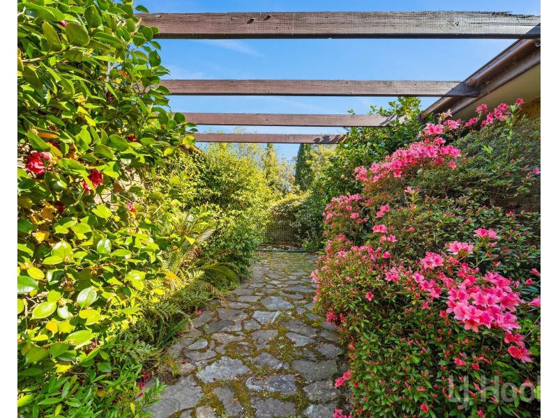 31 Hickey Road, Sutton NSW 2620