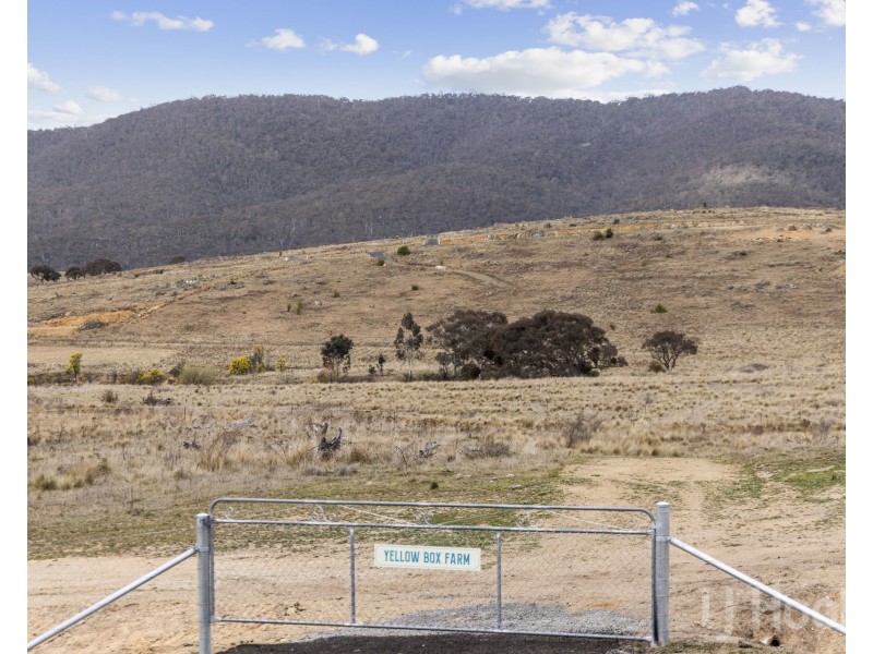 Level 309/179 Captain Robertson Drive, Burra NSW 2620