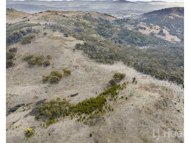 Level 301/140 Captain Robertson Drive, Burra NSW 2620