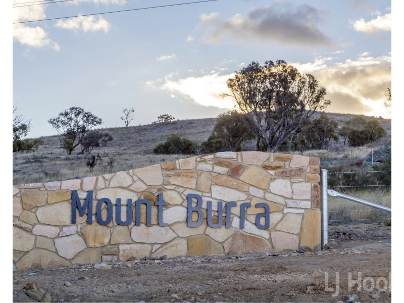 Level 308/167 Captain Robertson Drive, Burra NSW 2620
