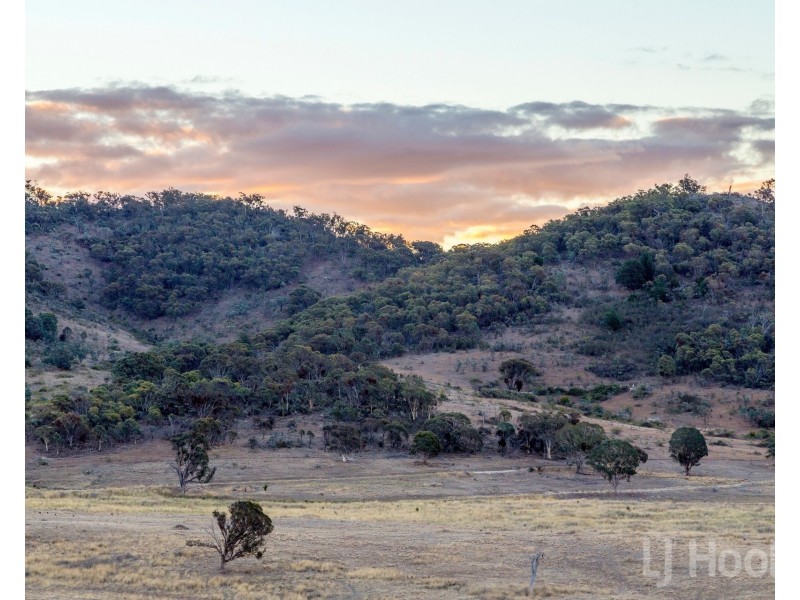 Level 308/167 Captain Robertson Drive, Burra NSW 2620