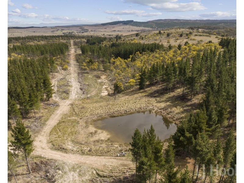 8/854 Hoskinstown Road, Bungendore NSW 2621