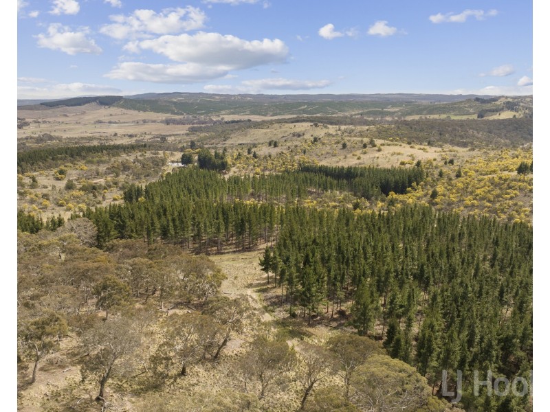 8/854 Hoskinstown Road, Bungendore NSW 2621