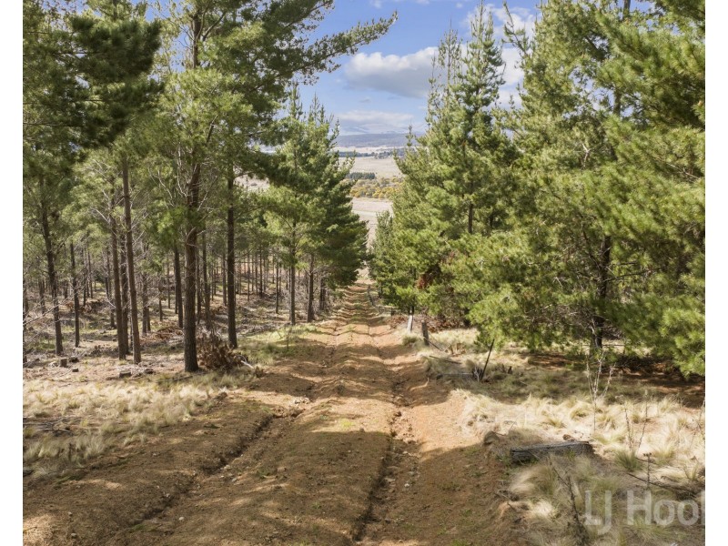 8/854 Hoskinstown Road, Bungendore NSW 2621