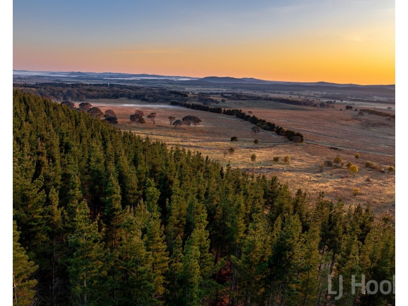 8/854 Hoskinstown Road, Bungendore NSW 2621