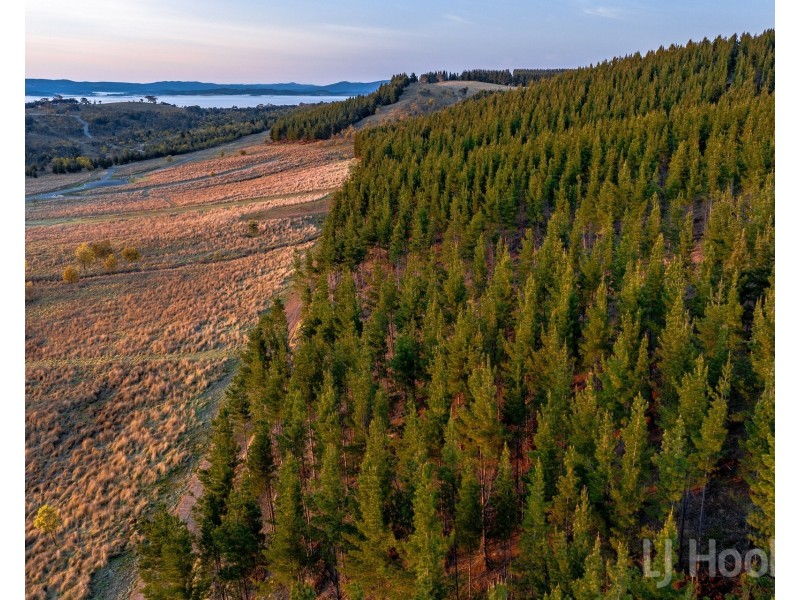 8/854 Hoskinstown Road, Bungendore NSW 2621