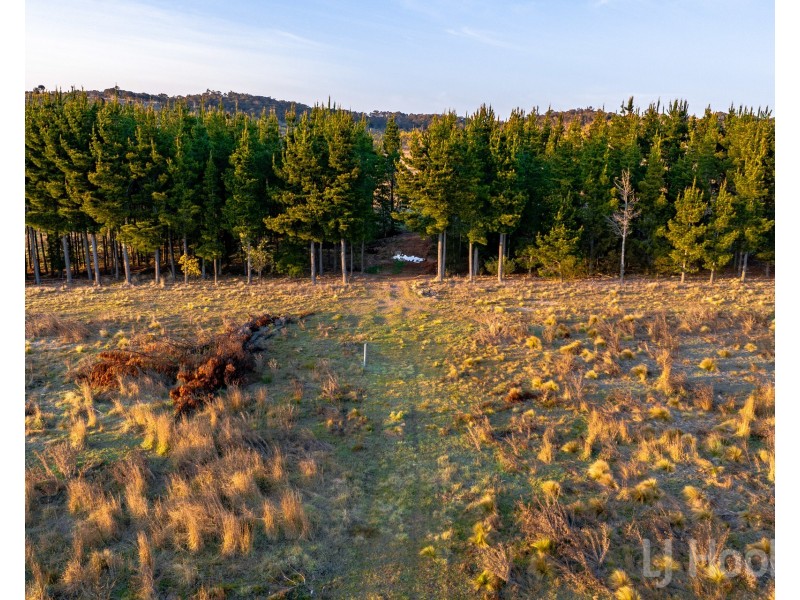 12/854 Hoskinstown Road, Bungendore NSW 2621