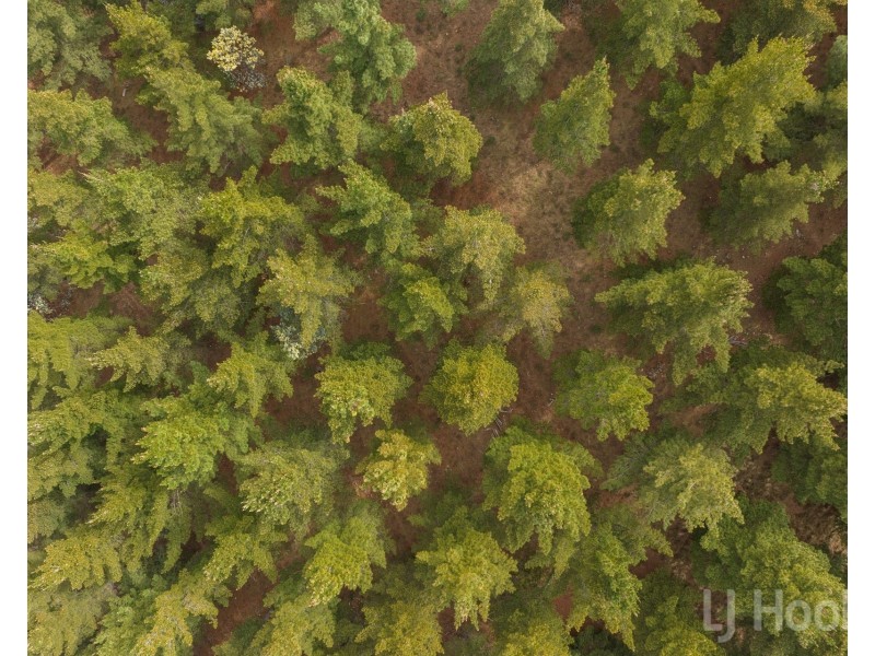 12/854 Hoskinstown Road, Bungendore NSW 2621