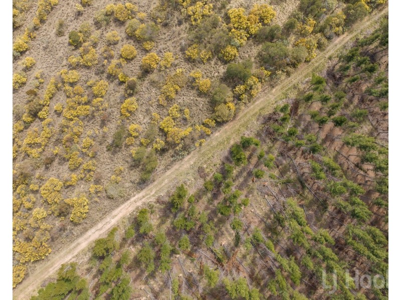 2/854 Hoskinstown Road, Bungendore NSW 2621