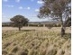 10/854 Hoskinstown Road, Bungendore NSW 2621