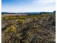 4/854 Hoskinstown Road, Bungendore NSW 2621